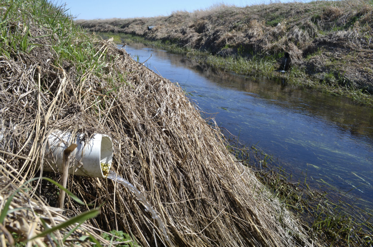 Water runs off a central Illinois farm into the East Branch Embarras River through a tile drainage pipe.
