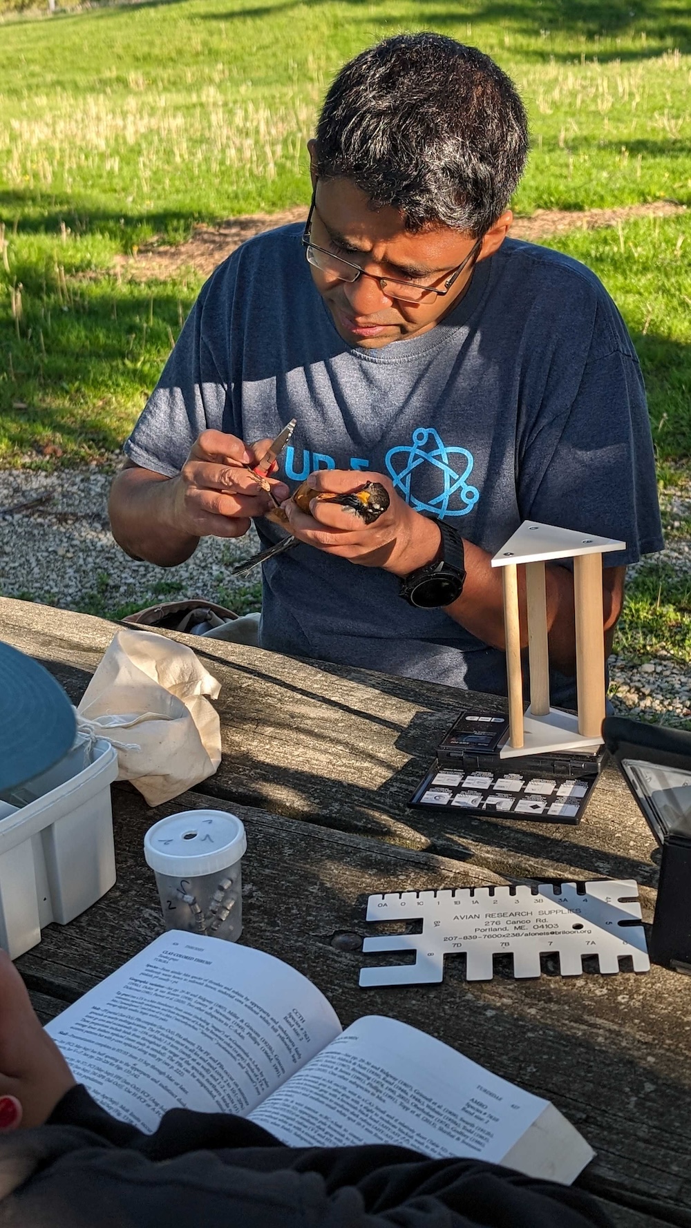 Man in blue shirt at table looking intently at butterfly. 