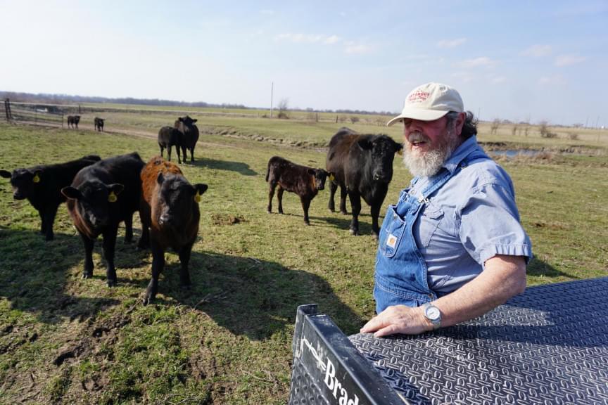  Cattle farmer Darvin Bentlage on his farm near Golden City, Missouri. His livestock are tagged with metal and plastic tags, and he is opposed to being forced to use electronic identification chips instead.