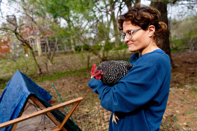 Leah Shaffer, of St. Charles, picks up Gertie, her 1-year-old Barred Rock Chicken, on Monday, April 4, 2022, outside of her home in St. Charles, Mo. Shaffer purchased four chickens to care for at the beginning of the coronavirus pandemic.