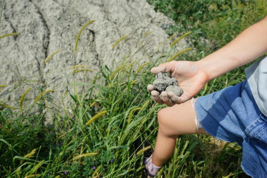 Gavi Welbel holds crushed basalt rock in her hand on her family's farm in eastern Illinois. The rock could replace limestone and help reduce agricultural emissions of carbon into the atmosphere.
