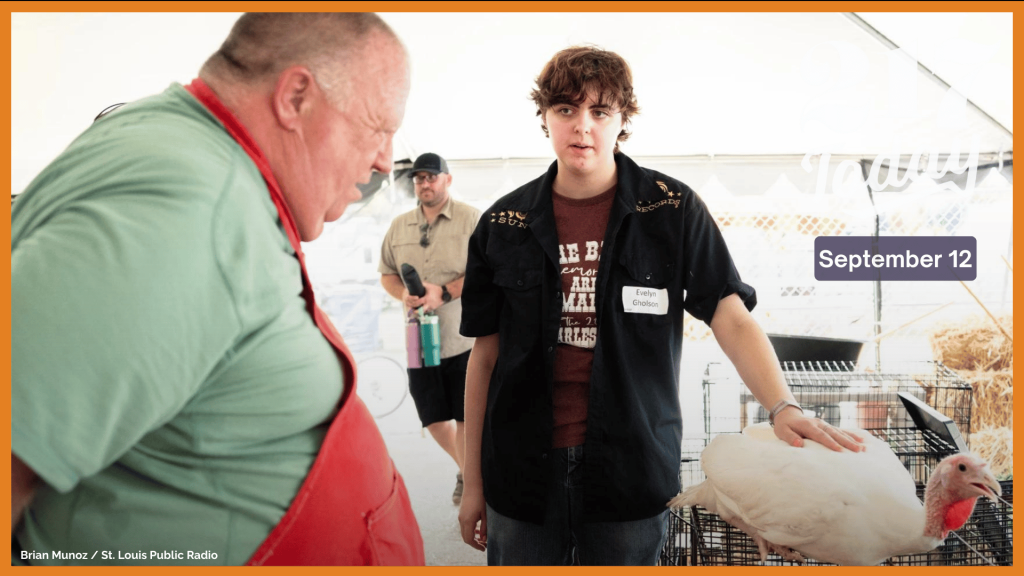 Evie Gholson, 18, speaks about her turkey while showing the bird to a judge on Wednesday, July 24, 2024, at the St. Charles County State Fair in Wentzville.