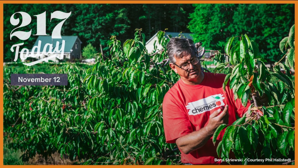 Phil Hallstedt picks cherries on his orchard in Michigan. He and his wife both have worked part-time jobs, but recently Hallstedt transitioned his cherry orchard to a U-Pick model where people can pay to harvest their own cherries. He said the new business model was necessary to stay afloat.