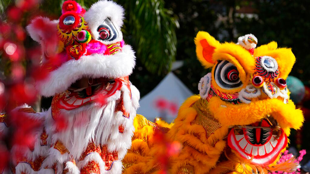 Lion dancers perform during the Lunar New Year celebration in Panama City, Sunday, Jan. 22, 2023. Chinese communities worldwide are celebrating as they welcome the Year of the Rabbit in the Chinese zodiac.