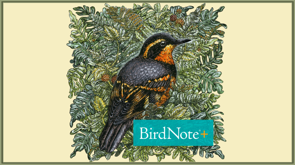 bird note logo