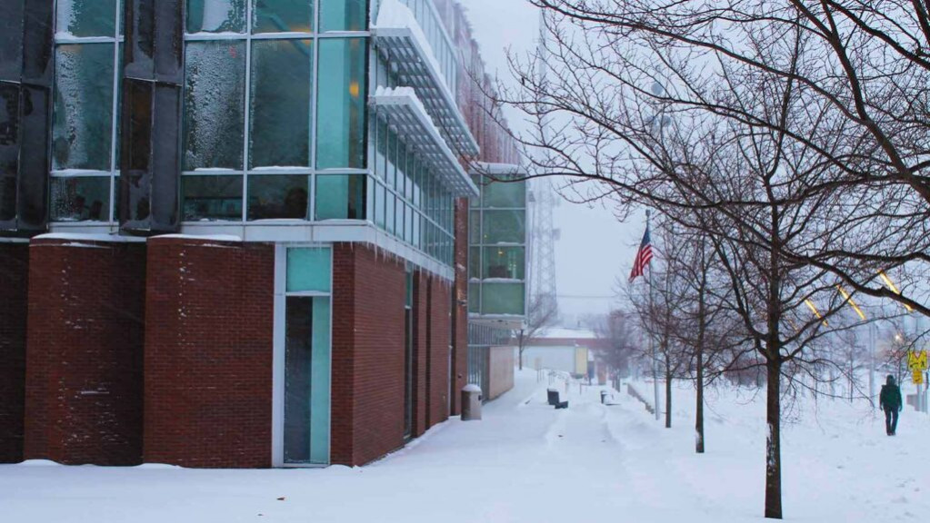 Heavy snow falls near the Champaign Public Library.