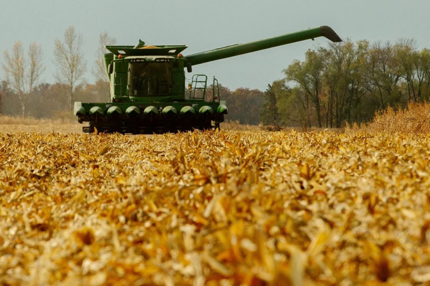 A combine harvests corn in a field in northeast Missouri. Crop insurance and protections for commodities including corn will likely be a big part of the 2023 Farm Bill. 