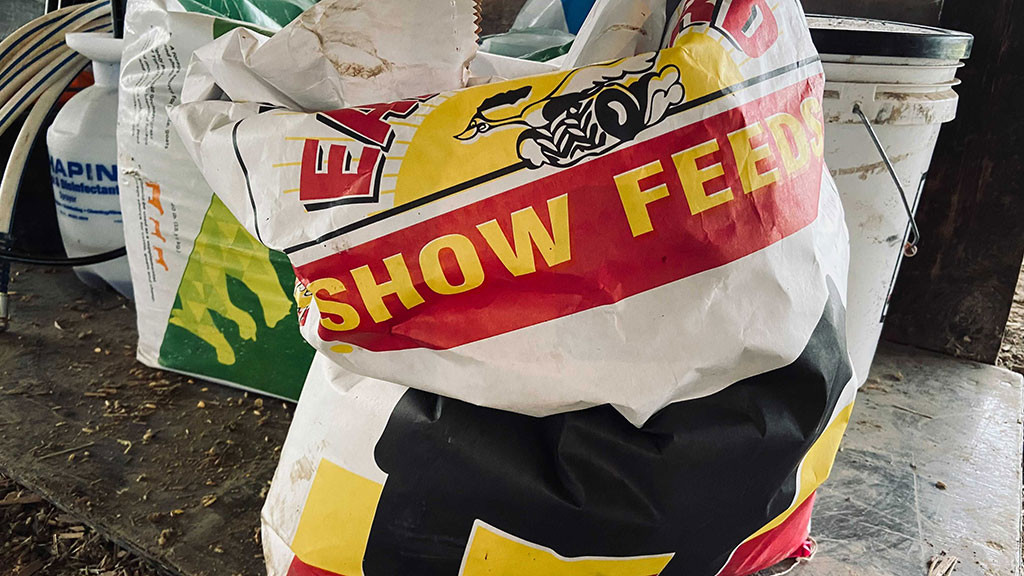 show feed bag