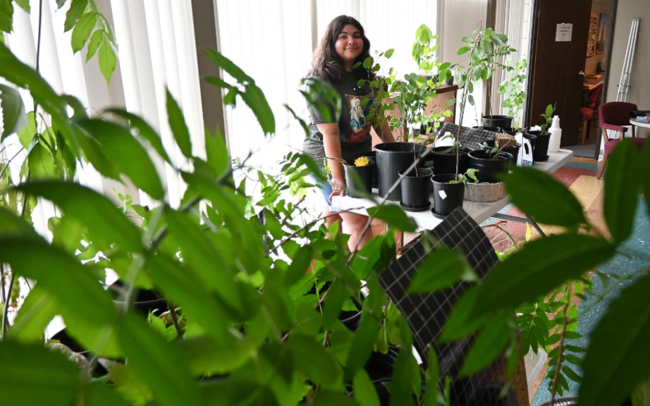 Jojo Blackwood stands among several of her seedlings and saplings, native plants she’s nurturing at the Kansas City Indian Center. 