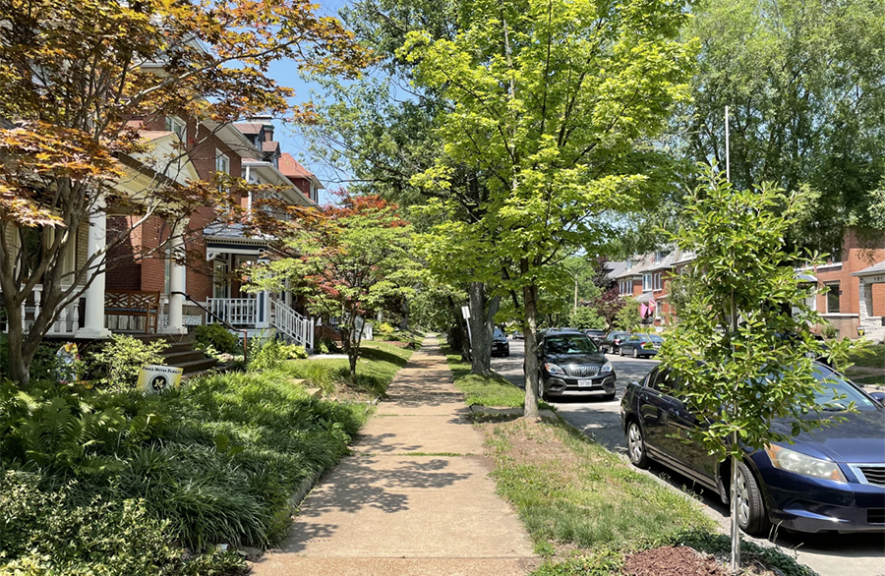 A tree-lined street in St. Louis. Alan Jankowski, the commissioner of forestry for the city of St. Louis, said earlier this month there was a nearly 10 degree difference between the parts of the city with ample tree cover and those without it.