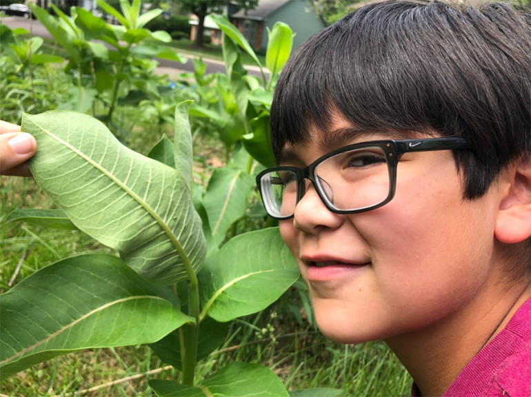 Oliver Hernandez, of Overland, Kansas, poses with a common milkweed plant in his front yard in 2020. A tiny, young monarch caterpillar and even tinier monarch eggs are visible on the underside of a leaf.