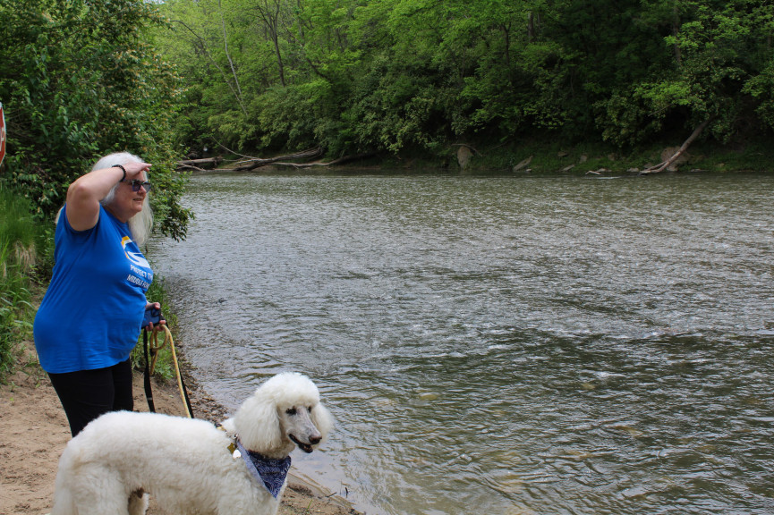 a woman in a blue t-shirt and a dog stand near a river