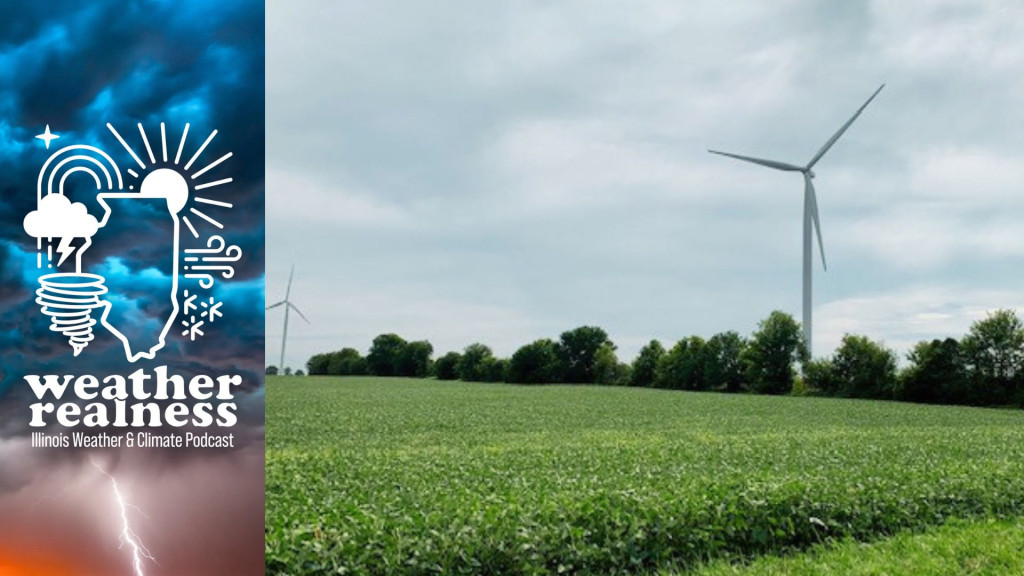 Soybeans grow by a wind turbine on farmland in Vermilion County, Illinois.