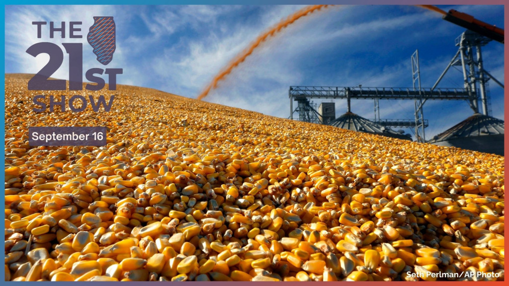 In this Wednesday, Sept. 23, 2015, photo, central Illinois farmers deposit harvested corn on the ground outside a full grain elevator in Virginia, Ill.