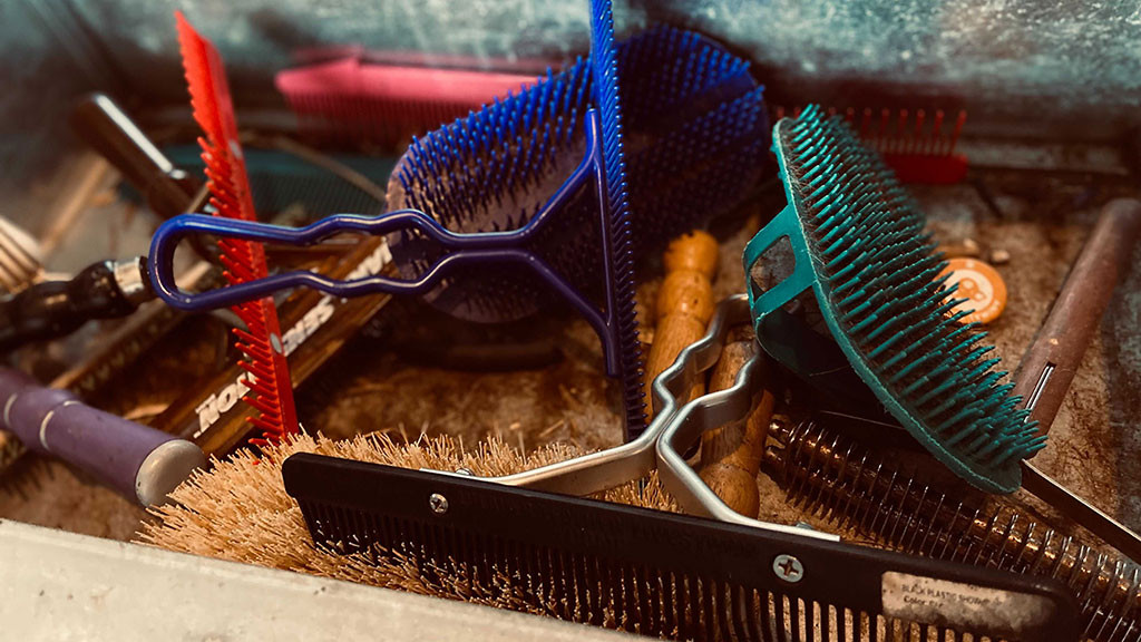 tray of grooming tools