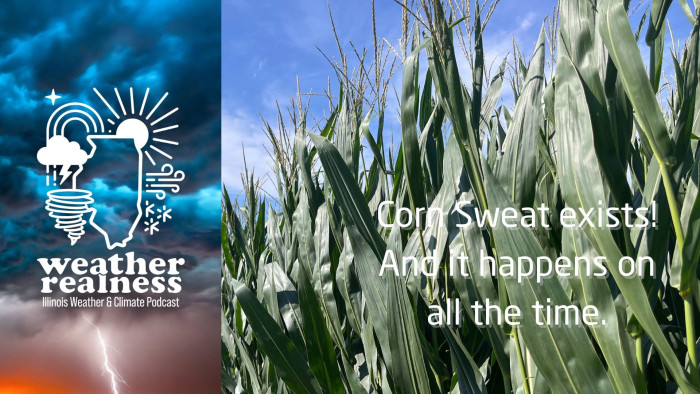 Yes, Corn Sweat exists! And it happens all the time