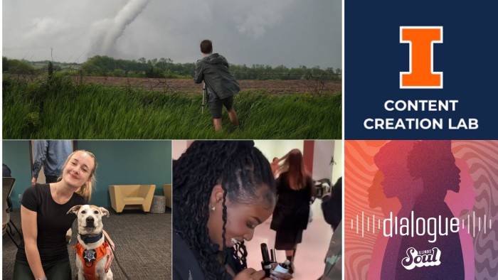 tornado, dog, nail tech