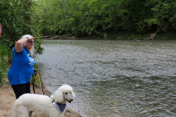In the left corner, a woman with white hair and a blue shirt is holding a leash attached to a white poodle as they stand near the edge of a river. The woman has her hand up to her forehead as she looks at the river. 