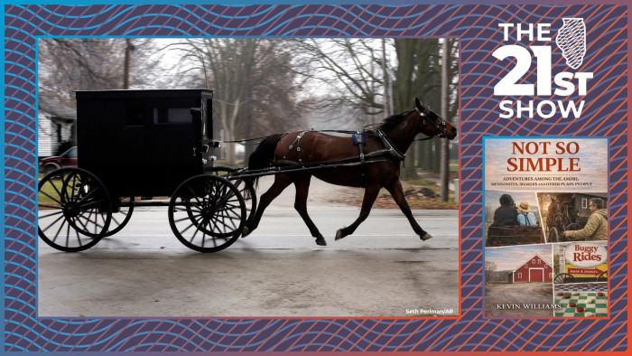 a black buggy pulled by a dark brown horse on moves from left to right on a paved road