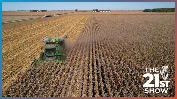 an amber field of corn is seen from above as a green John Deere combine harvests the crop