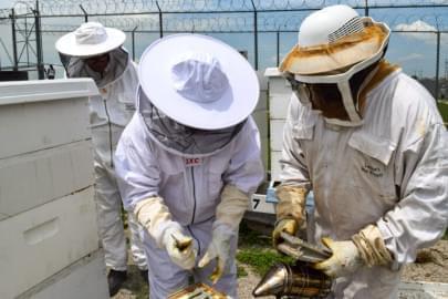 Darrell, Jacob and Clinton are among those incarcerated at Clarinda Correctional Facility in southwest Iowa. They're learning how to be beekeepers.