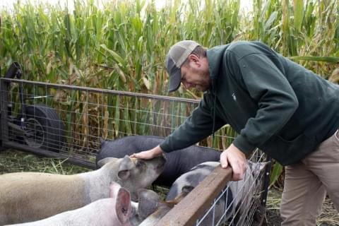 Farmer Zack Smith, who calls himself "The Stock Cropper," pets one of the pigs in his mobile pen