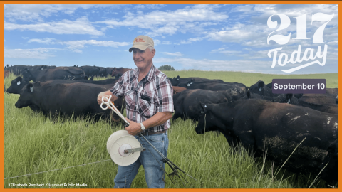 Jim Knopik winds up a twine fence to let his cattle into a new area of pasture for grazing on his central Nebraska ranch. Knopik uses a ranching practice called mob grazing, which aims to improve soil quality and other natural resources through cattle ranching.