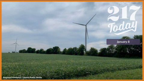 Soybeans grow by a wind turbine on farmland in Vermilion County, Illinois.