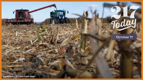 Corn is harvested in late September on Nick Koeller's farm in Greenfield, Illinois. Prices for corn and other crops have fallen, meaning farmers expect to make less money this year.