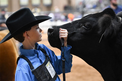 Landon Witherow, 11, prepares to enter the ring with his market steer entry inside Hale Arena.