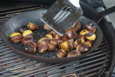 Chestnuts at the Missouri Chestnut Roast Festival on Oct. 2. Chestnut farming is a growth opportunity for Midwest agriculture.