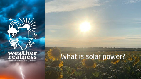 sun and sunflowers