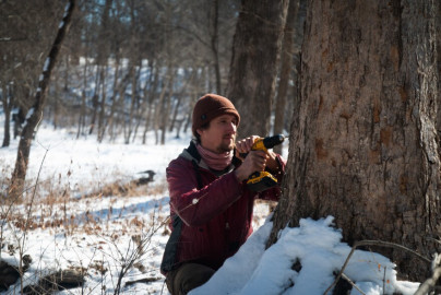 On a chilly day in late February, Ben Hoksch squatted in front of a large maple tree and drilled a small hole about an inch and a half into its trunk. He then put a small stainless steel straw — it’s called a spile — into the hole and tapped it into place with a hammer.