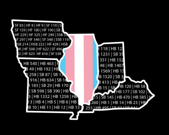 While Illinois has moved to protect access to gender-affirming care and enshrined civil rights for the LGBTQ+ community overall, four of the five states that border Illinois have all seen a massive rise in bills that target the queer community, especially transgender youth. According to the ACLU's anti-LGBTQ legislation tracker, Missouri's state legislature has considered 48 bills in 2023 alone that would negatively impact the queer community in areas ranging from healthcare to education to free speech and expression.