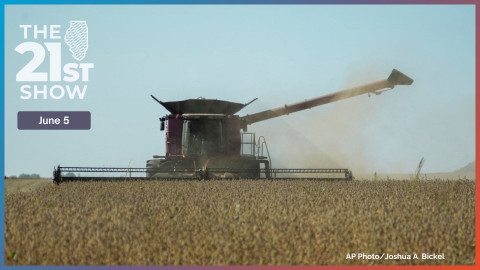 A combine harvests soybeans, Tuesday, Oct. 10, 2023, at a farm near Allerton, Ill.