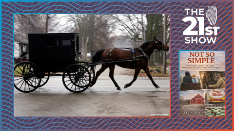 In this file photo from Dec. 4, 2013, an Amish buggy and horse travels down a road in Arthur, Illinois.
