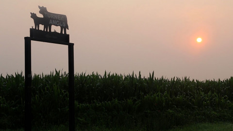 sun setting over family farm sign