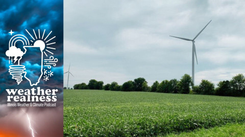 Soybeans grow by a wind turbine on farmland in Vermilion County, Illinois.