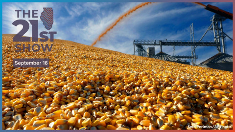 In this Wednesday, Sept. 23, 2015, photo, central Illinois farmers deposit harvested corn on the ground outside a full grain elevator in Virginia, Ill.