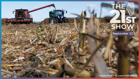 A combine unloads hundreds of bushels of corn into a grain cart on a farm near Greenfield, Illinois last September. 