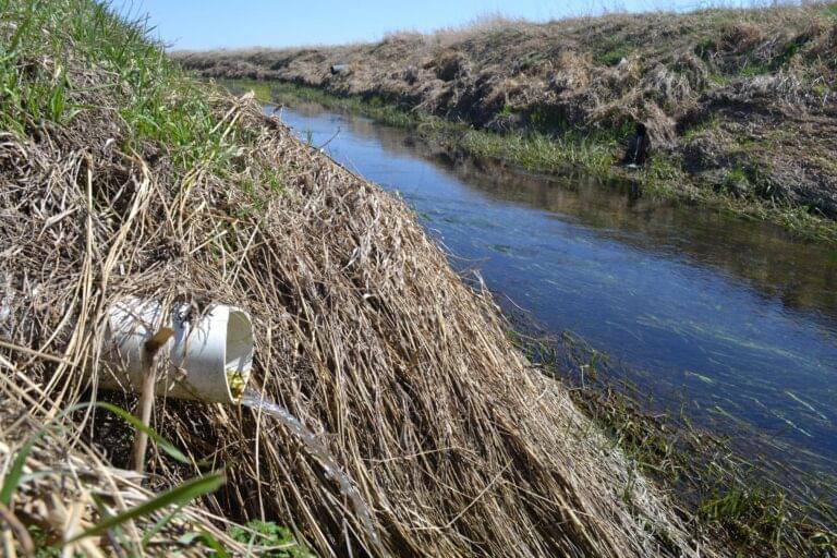 Water runs off a central Illinois farm into the East Branch Embarras River through a tile drainage pipe.
