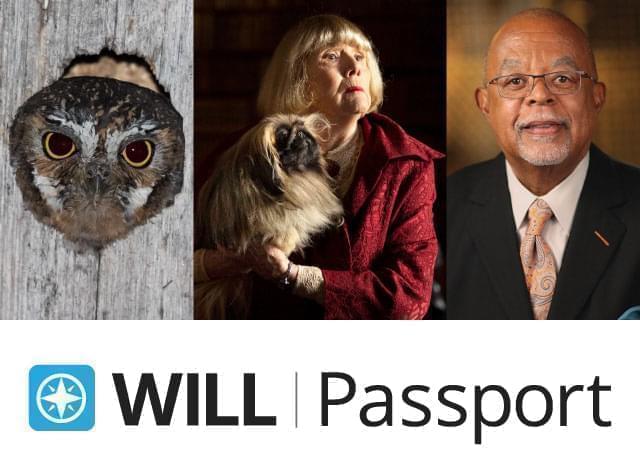 WILL passport