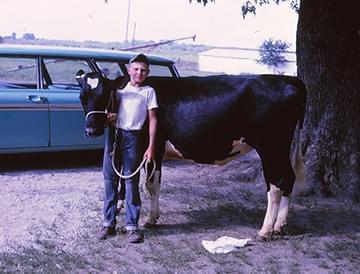 Alan Guebert with one of the family's dairy cows at Indian Farm